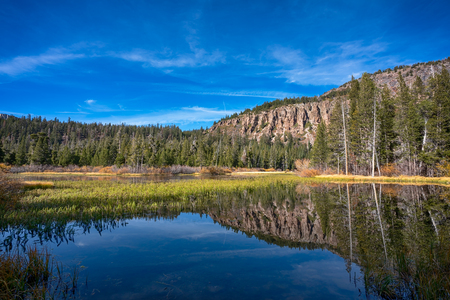 Trees around the lake in Mammoth Lakes, Californiaの写真素材
