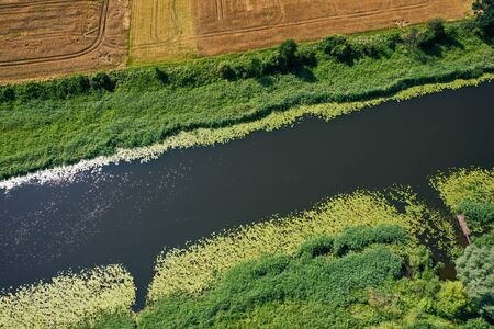 Aerial view of the river in rural area in Summerの写真素材