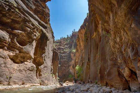 Canyon walls seen from the river bed in Zion National Park in Utahの写真素材