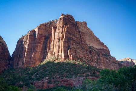 Mountain on a sunny day in Zion National Park in Utahの写真素材