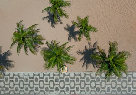 Aerial view of a famous Copacabana sidewalk mosaic with palm trees on the beachの写真素材