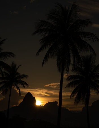 Beautiful sunset over Rio de Janeiro hills with palm trees in the foreground