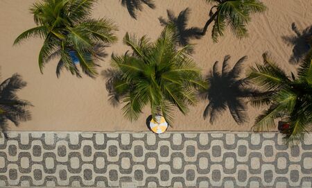 Drone shot of palm trees on the beach along the sidewalk with famous Copacabana mosaicの写真素材