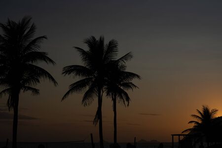 Palms over blue and orange sky after the sunset on the beach in Rio de Janeiroの写真素材
