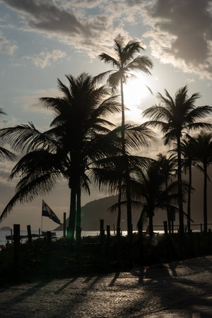Silhouettes of palm tress on Leblon beach in Rio de Janeiro Brazil