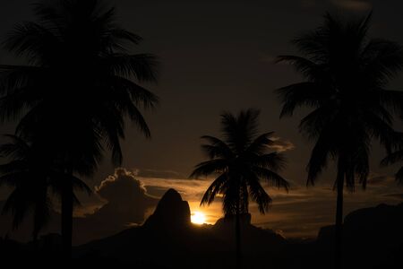 Silhouettes of palm trees during an amazing sunset over Dois Irmaos in Rio de Janeiro Brazilの写真素材