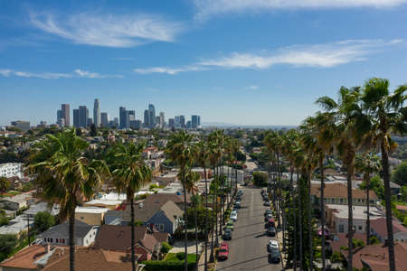 Aerial shot of Los Angeles skyline through the palm trees in Echo Park Californiaのeditorial素材
