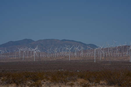 Fields of green energy wind turbines in the hills of California in United Statesの写真素材