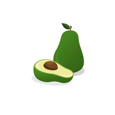avocado fruit cartoon flat illustration vector isolated in white backgroundのイラスト素材