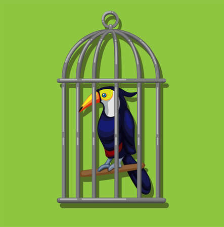 Toucan in birdcage. Toucan (family Ramphastidae) exotic bird from american tropical forest illustration in cartoon vectorのイラスト素材