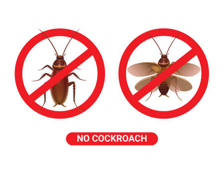 No cockroach pest control symbol cartoon illustration vectorのイラスト素材
