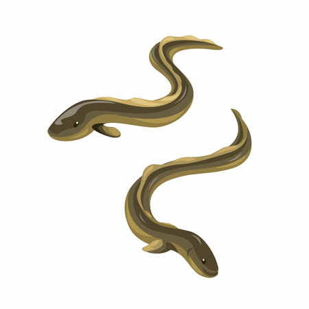 eel fish animal character set illustration vectorのイラスト素材