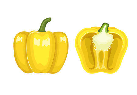 Paprika yellow color cartoon illustration vectorのイラスト素材