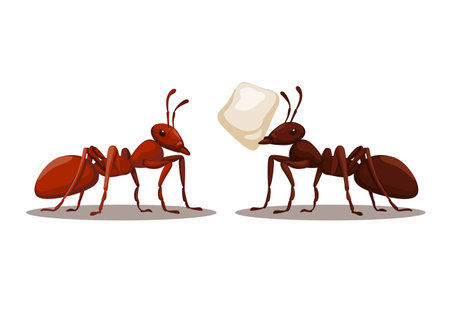 Black and Red Ant animal character cartoon illustration vectorのイラスト素材