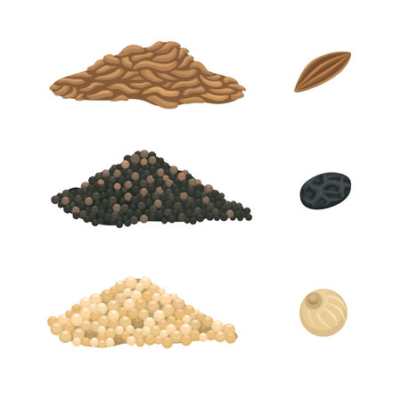 White and Black Pepper with Cumin Seed spice symbol set cartoon illustration vectorのイラスト素材