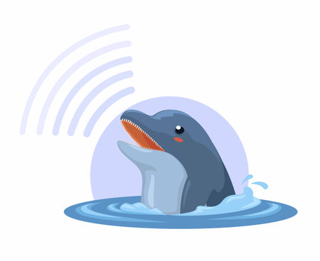 Dolphin Echolocation Animal Cartoon Illustration Vectorのイラスト素材