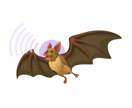 Bat Echolocation Animal Cartoon Illustration Vectorのイラスト素材