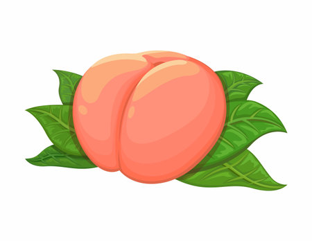 Peach On Leaf Cartoon Illustration Cartoon Illustration Vectorのイラスト素材