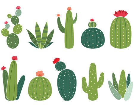 Cactus Elements Set Vector illustration.のイラスト素材