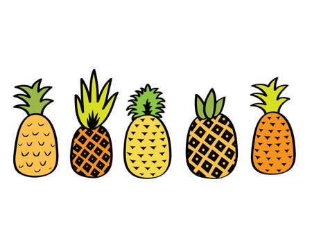Cute Pineapple Tropical Design Elementsのイラスト素材
