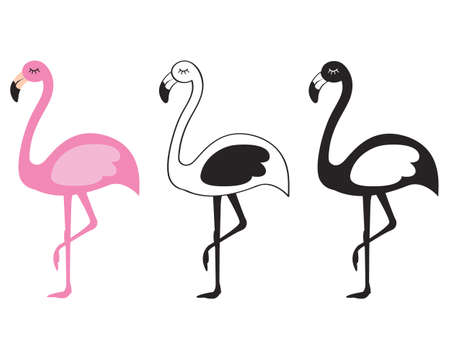 Cute Flamingo with Silhouette Setのイラスト素材