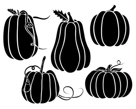 Autumn Pumpkin Silhouette Collection Setのイラスト素材