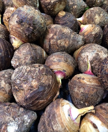 yam or taro root backgroundの素材