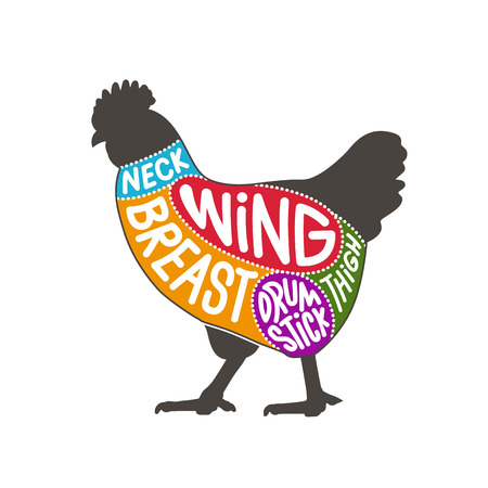 Chicken meat part cuts diagram for butcher shop. Chicken facing left with colorful vector illustration.のイラスト素材