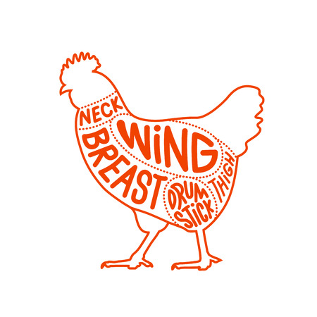 Chicken meat part cuts diagram for butcher shop. Chicken facing left vector illustration outline stoke.のイラスト素材
