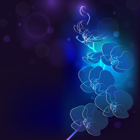 Moon orchid outline vector with blue color tone on dark background. Moon orchid outline Illustration.のイラスト素材