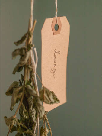 Hanging lovage herb to dry beside a tag that says Lovage.の写真素材