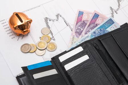 Coins and pig saving concept. Polish moneyの写真素材