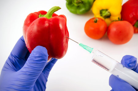 Man with gloves working with pepper in genetic engineering laboratory. GMO food concept. の写真素材