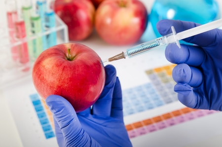 Analyst injects liquid into apple. Genetically modified food in lab concept.の写真素材