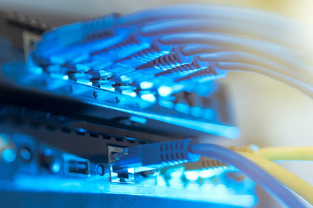 Network infrastructure, switch or router socket, cable connections.   wired transmission, data...