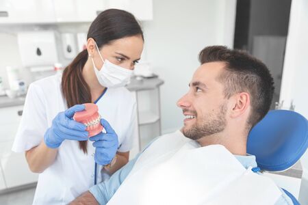 Female dentist holding jaw samples tooth with braces model. Professional dental clinic.の写真素材