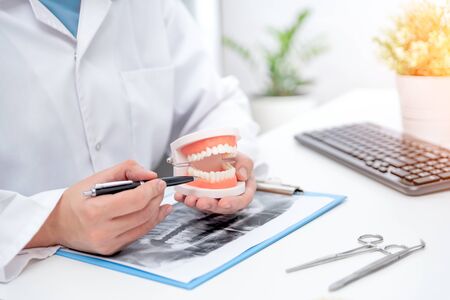 Doctor holding teeth model, medical consultation. Dental care conceptの写真素材