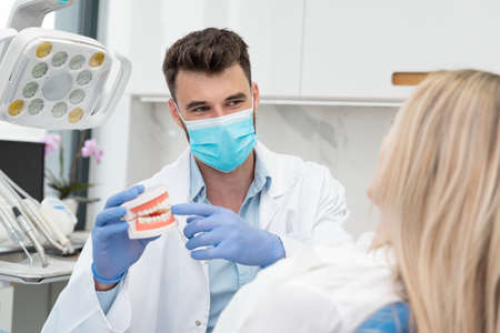 Dentist holding jaw samples tooth. Professional consultation in dental clinicの写真素材