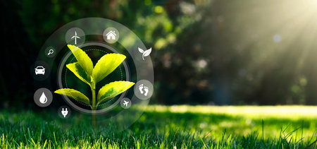 Ecology concept with growing plant on green grass, flying eco icons
