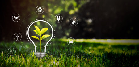 Environmental protection, renewable, sustainable energy sources. Plant growing in the bulb concept