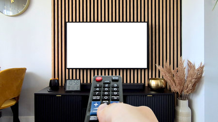 Blank TV screen in modern living room. Multimedia concept mockup