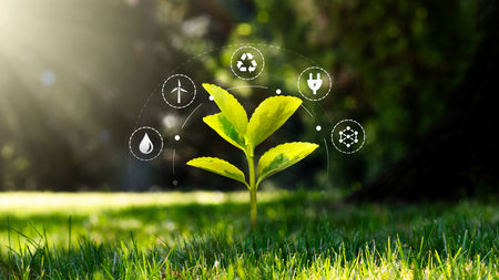 Environmental protection, renewable, sustainable energy sources. Growing plant in park conceptの写真素材