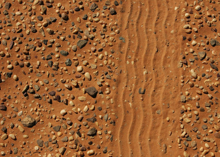 Tyre print in the desertの写真素材