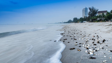 Shellfish on the beachのeditorial素材