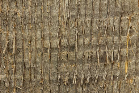 Old wood surfaceの写真素材