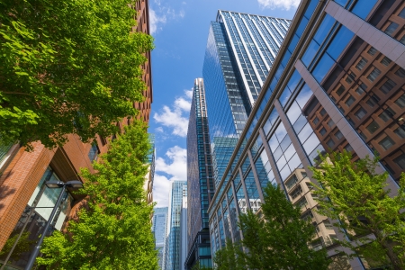 Green and Office Buildings