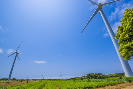 Wind-power fieldの写真素材