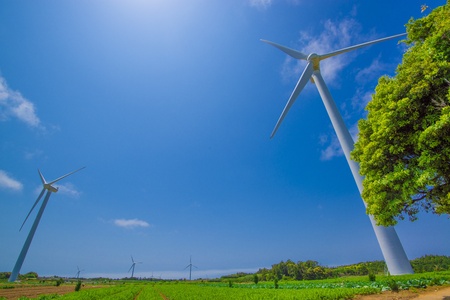 Wind-power fieldの写真素材