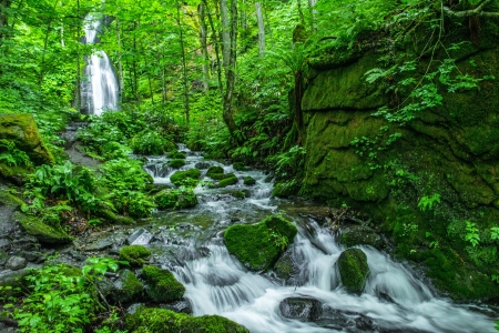 fall and streamの写真素材