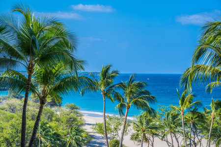 palm beach